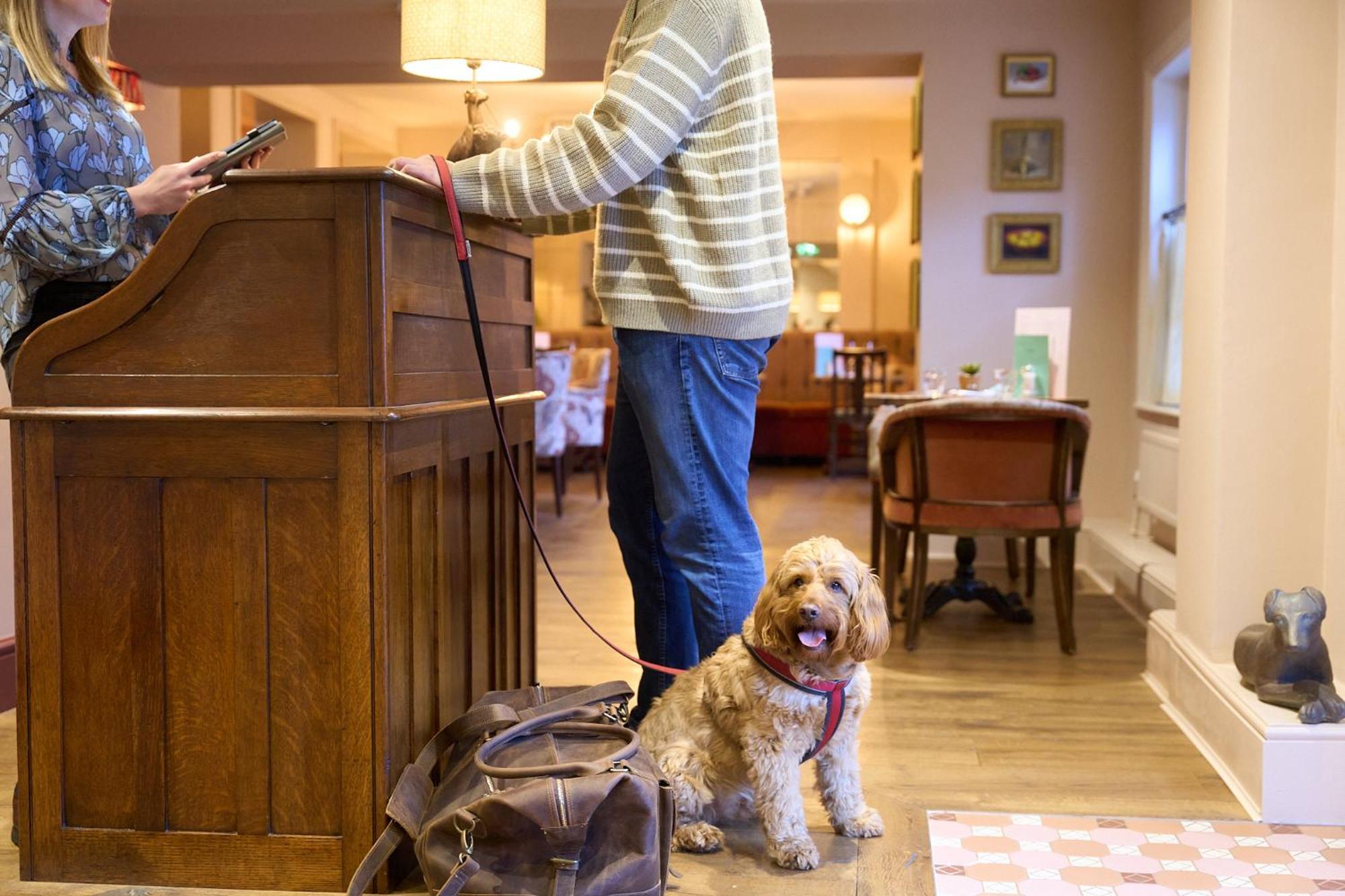 The White Horse - A Heartwood Inn Dorking Dış mekan fotoğraf