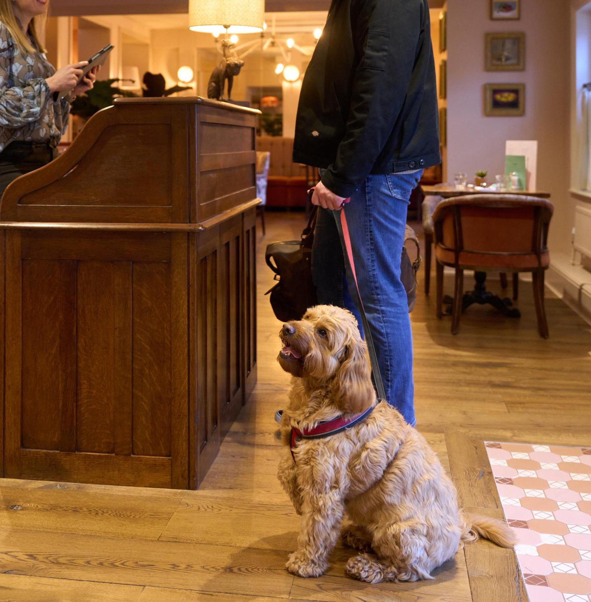 The White Horse - A Heartwood Inn Dorking Dış mekan fotoğraf